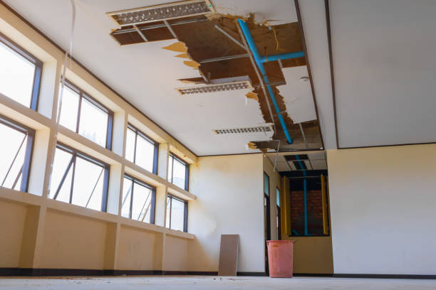 Best Water damage restoration process  in Vandalia, OH