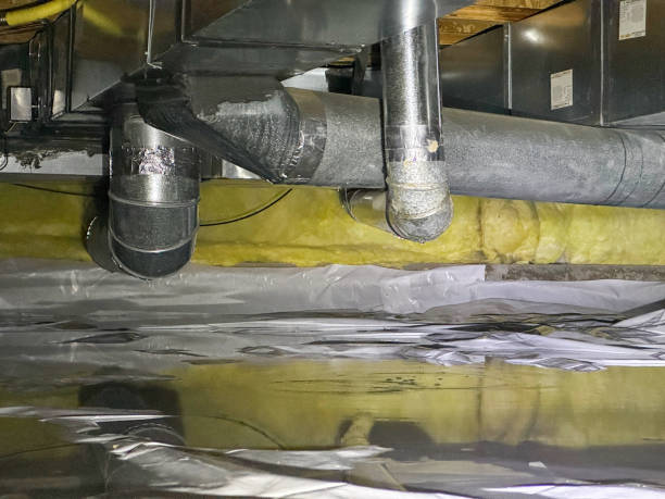 Best Basement water damage restoration  in Vandalia, OH