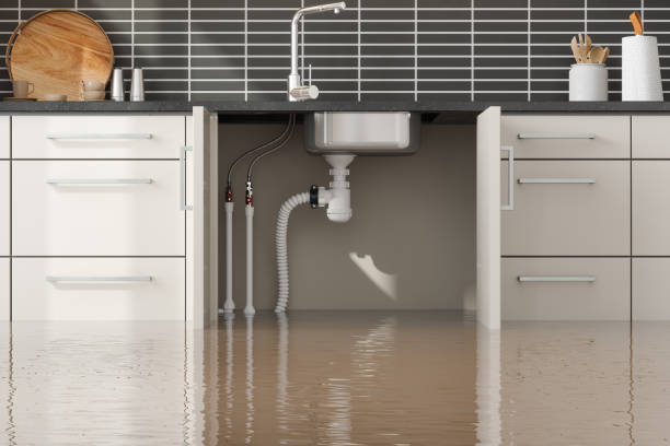 Best Local water damage restoration  in Vandalia, OH