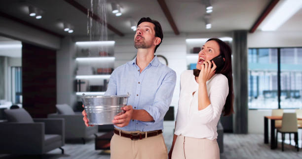 Best Professional water damage repair  in Vandalia, OH