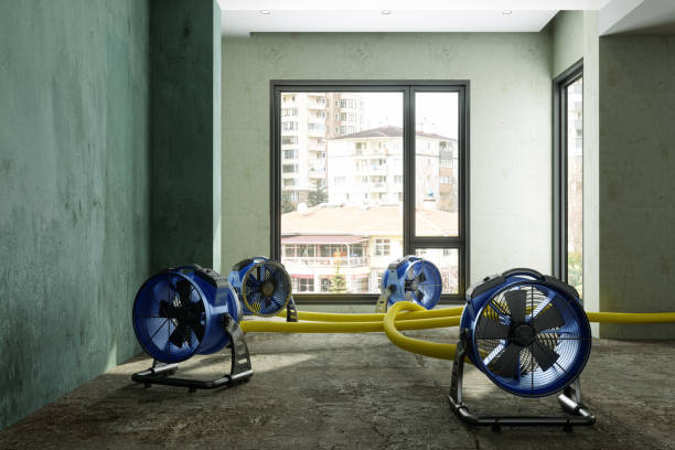 Best Water damage contractors near me  in Vandalia, OH